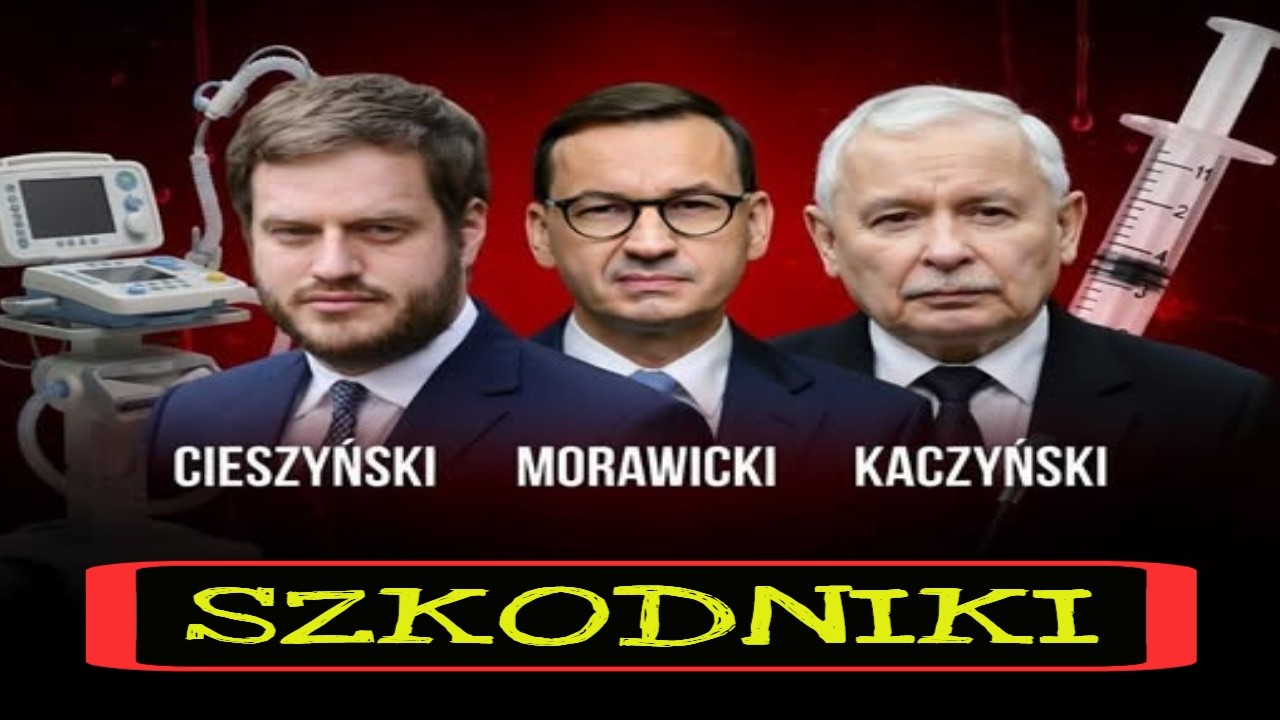 Szkodniki 🤬