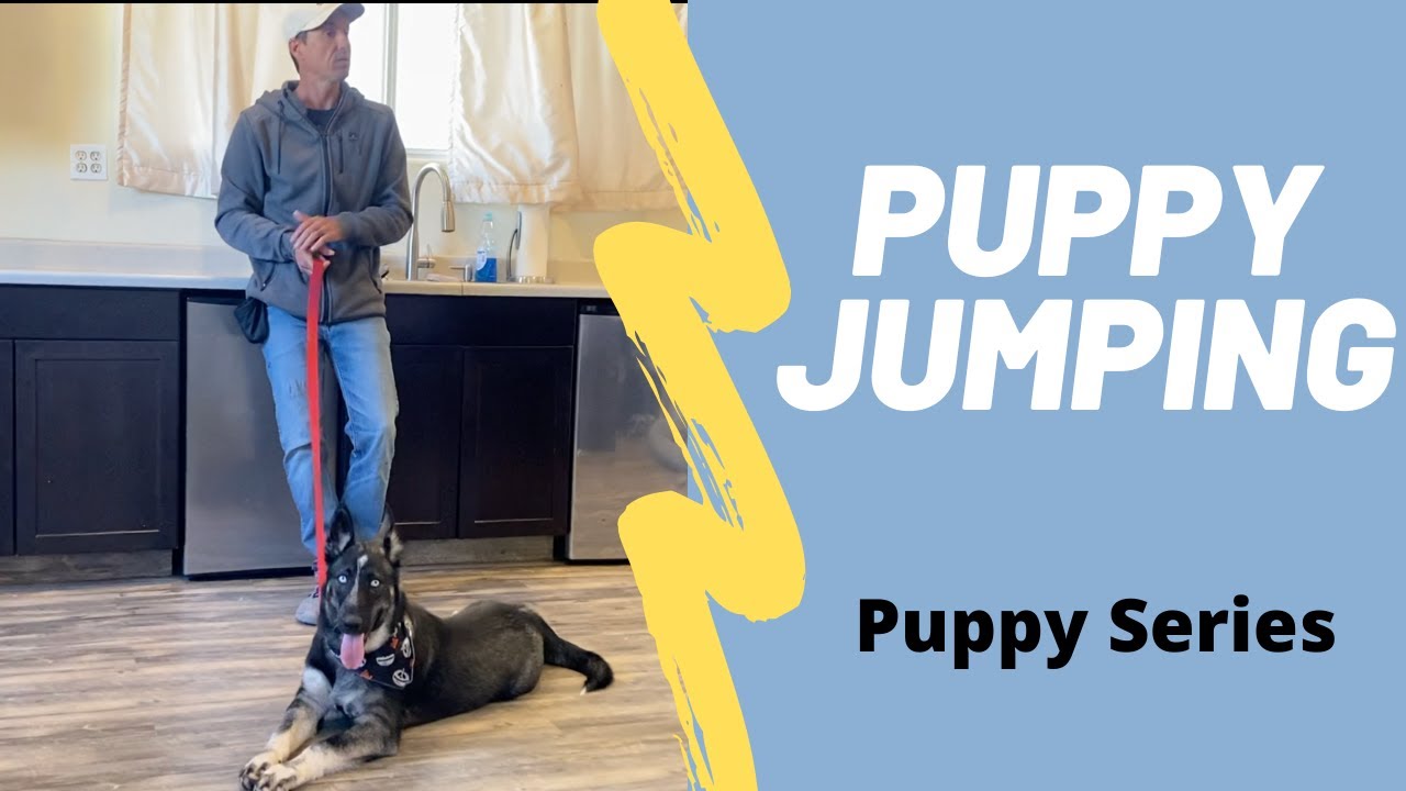 Watch all my jumping solutions