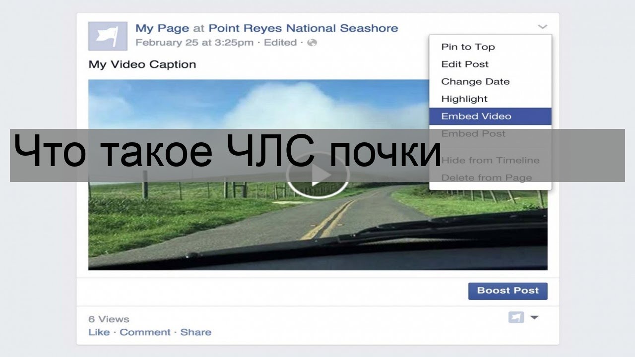 Что такое ЧЛС почки