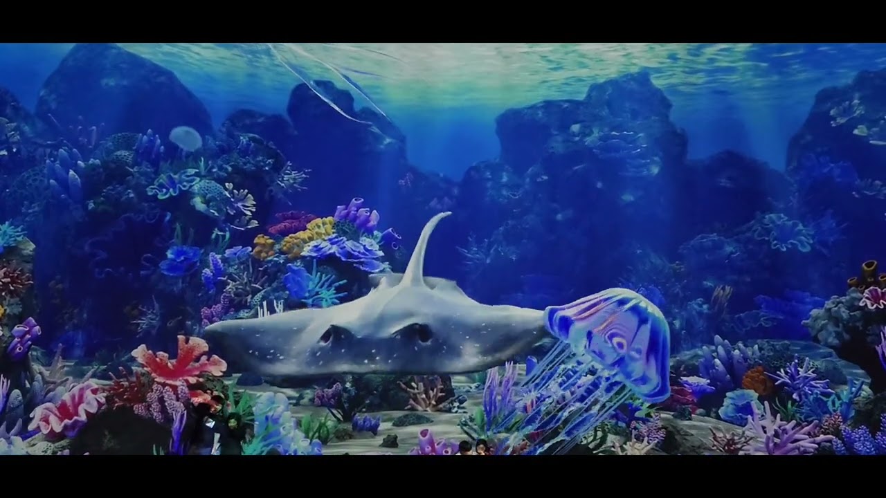 Bunsing music Cafe3  / study.  Driving.trip. resting. Michael jo joyband 