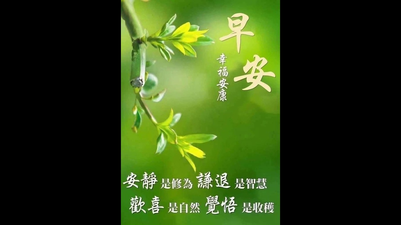 囍結善緣2026年03月31日