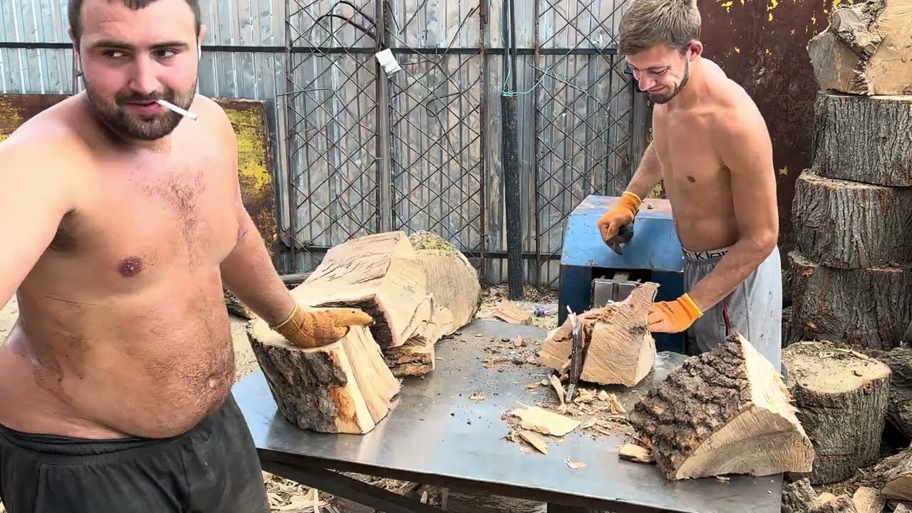 Dangerous Forest Work – 40 Minutes of Pure Power