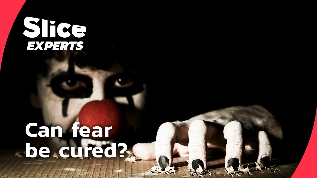 Fear decoded: how the brain learns to panic I FULL DOC | SLICE EXPERTS