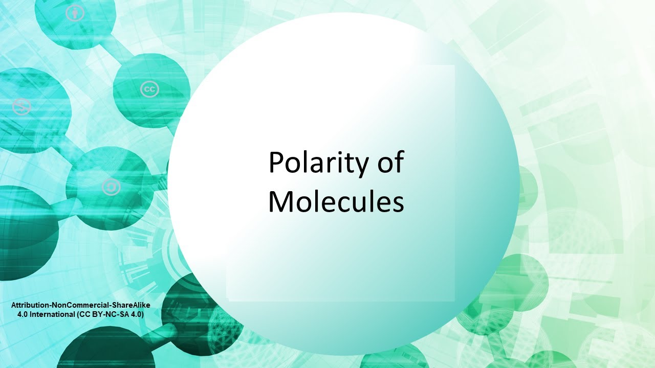 Polarity of Molecules