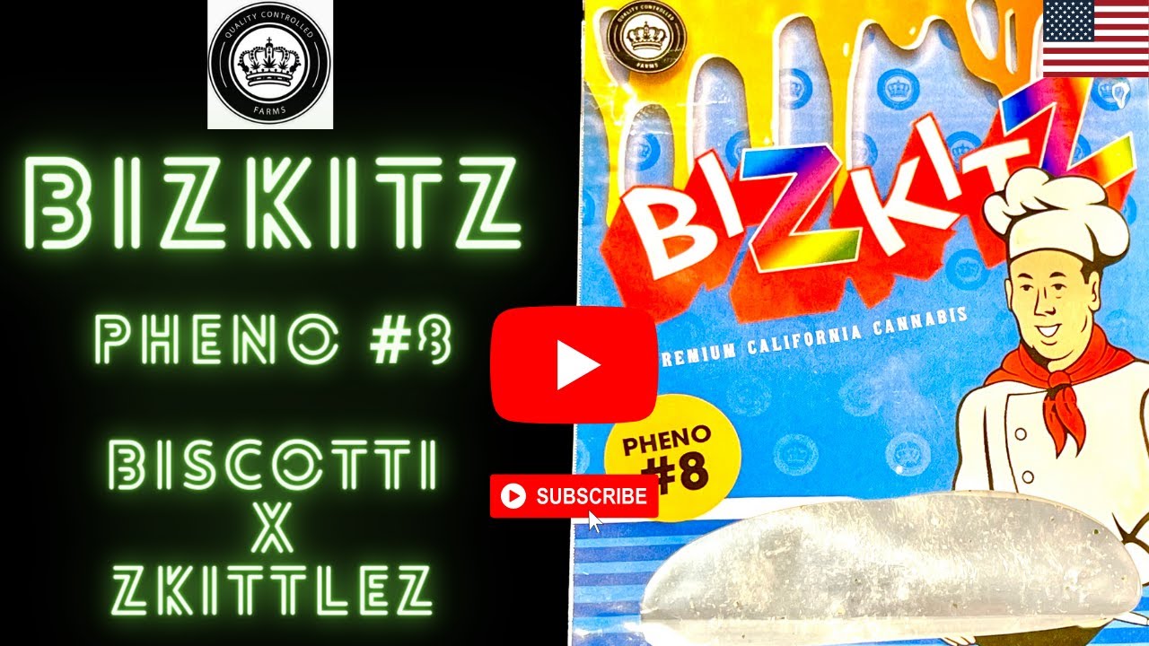 Bizkit Pheno 8  🍪 from QC Farms 🌈🤩 - Zkittlez x Biscotti 🔥🔥