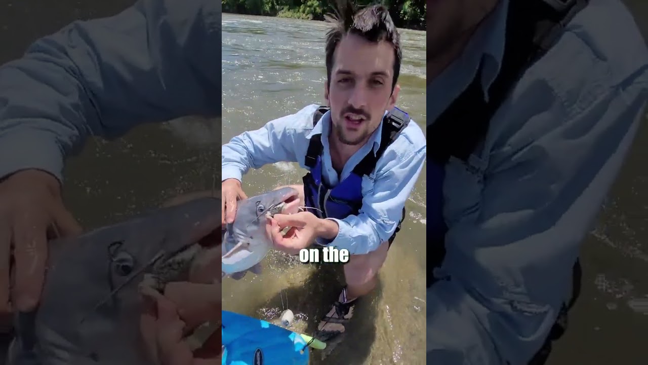 Рыбалка по принципу «поймал-отпустил»? Замените крючки J-образной формы на крючки круглой формы, ...