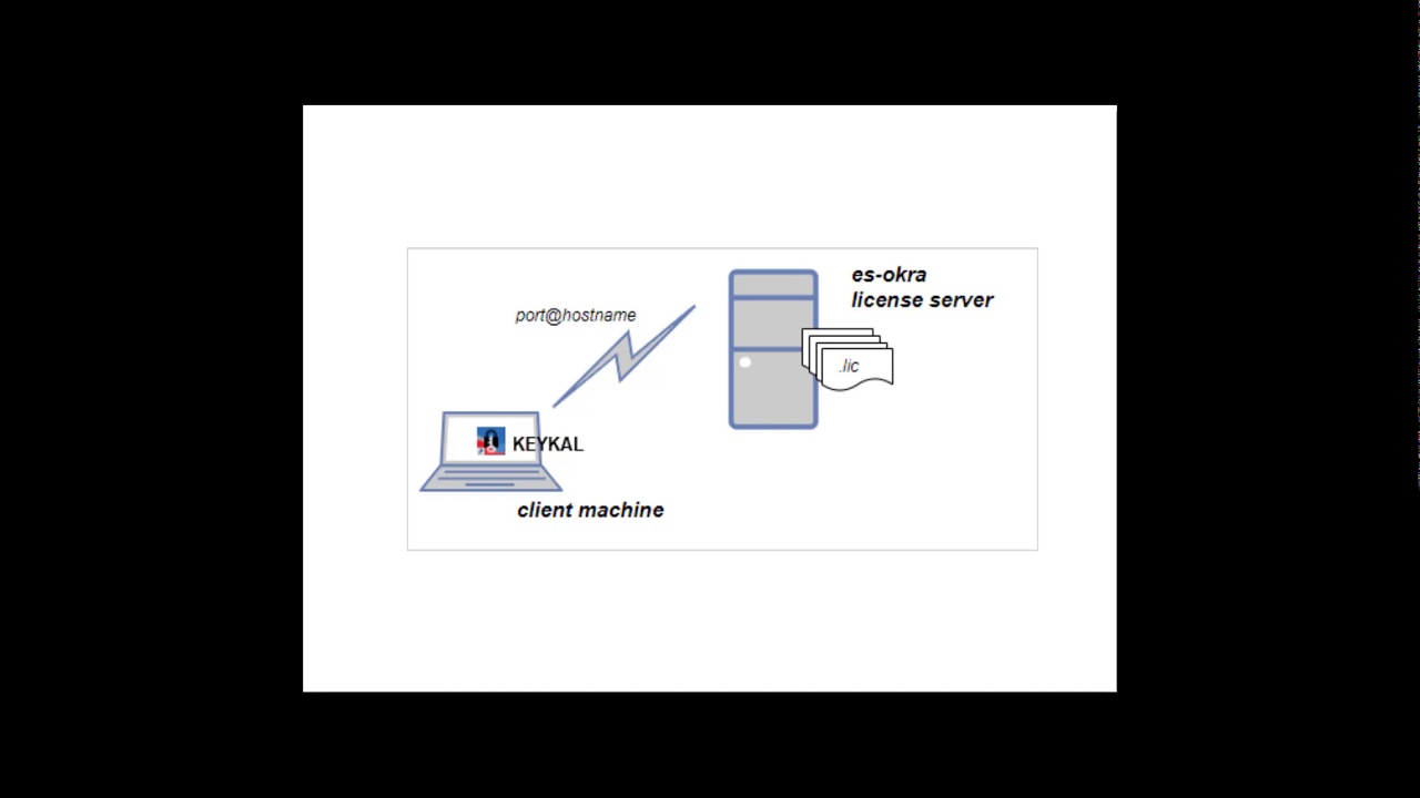 Using a Floating License From a Remote License Server