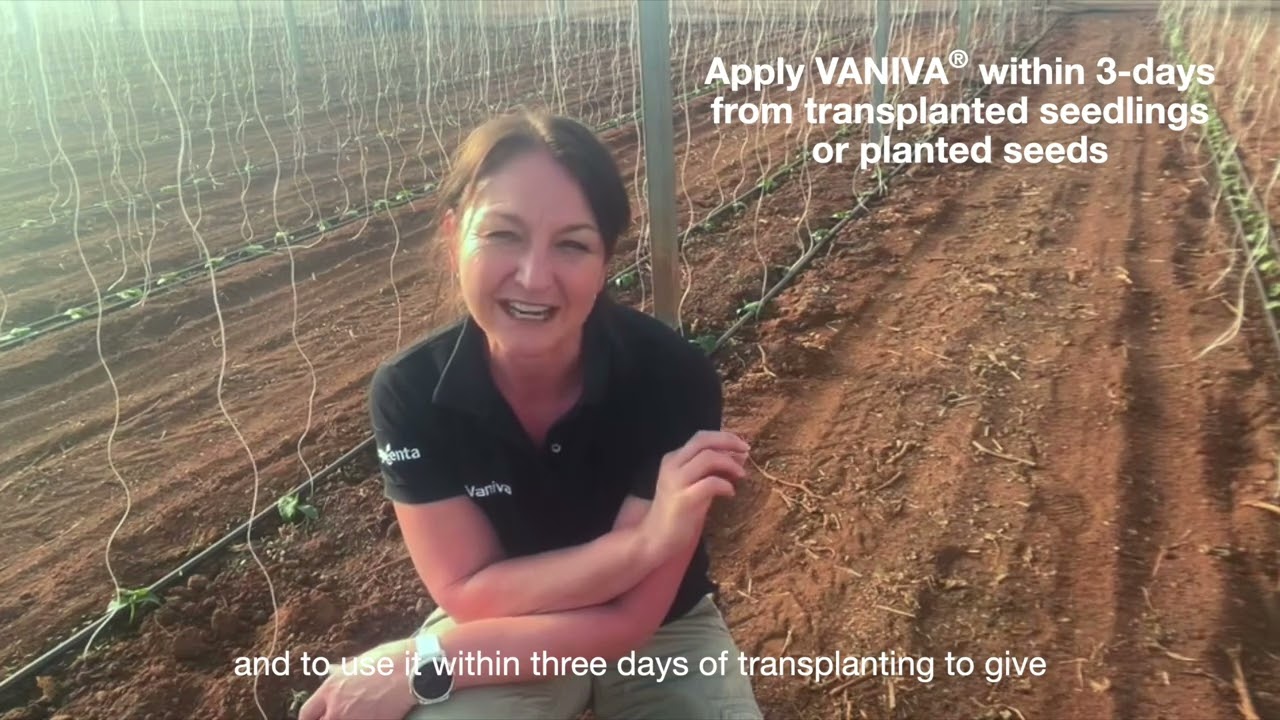 Introducing VANIVA® nematicide, powered by TYMIRIUM® technology