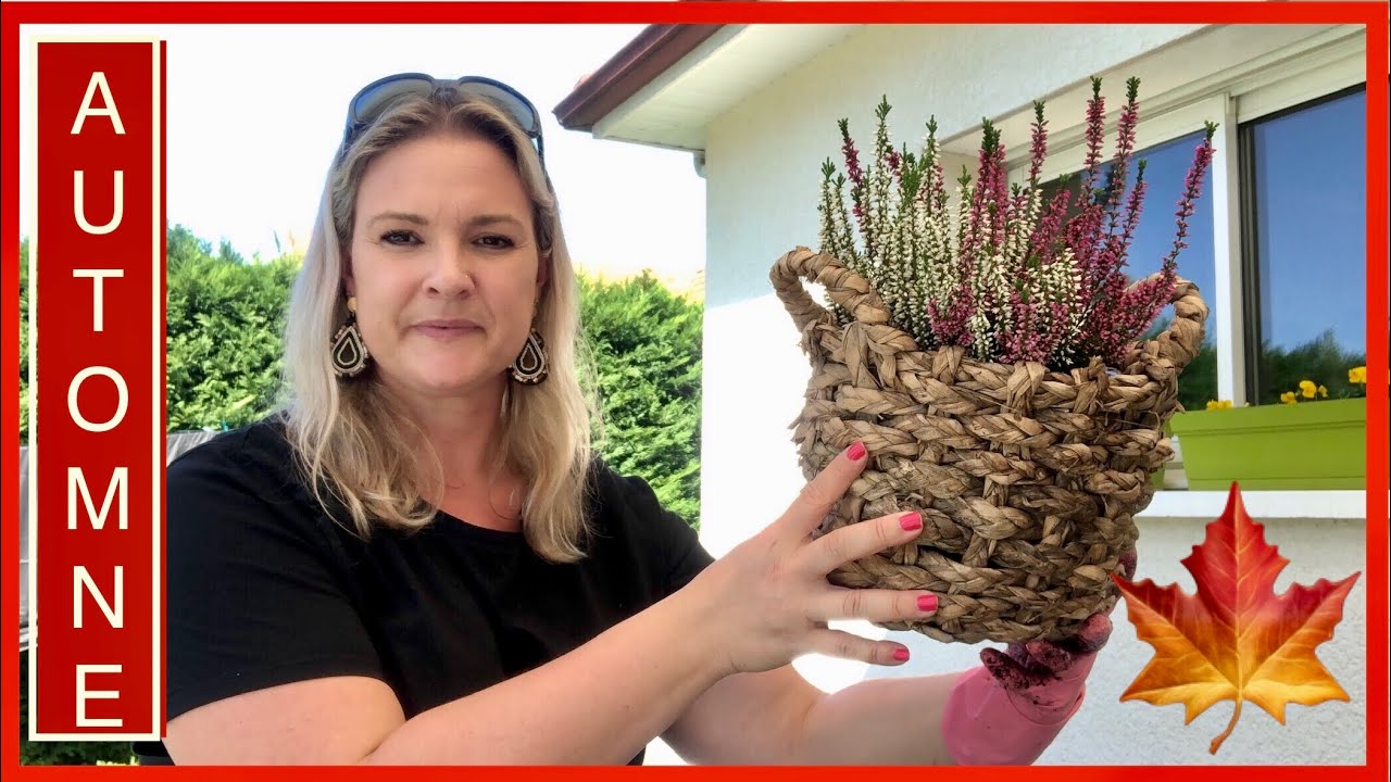 Vlog: les plantations d’Automne 🍁 ! Je fleurie ma maison 🏡 !!!!! #vlogfamille #automne