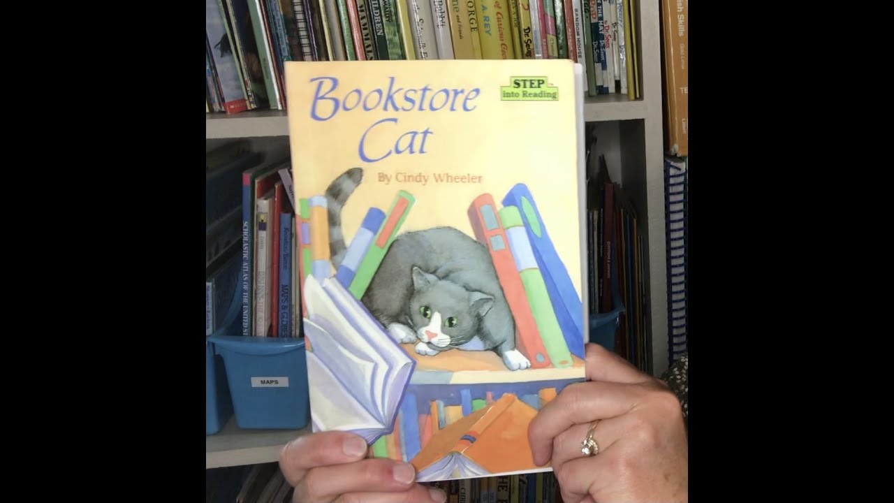 The Bookstore Cat  (read aloud)