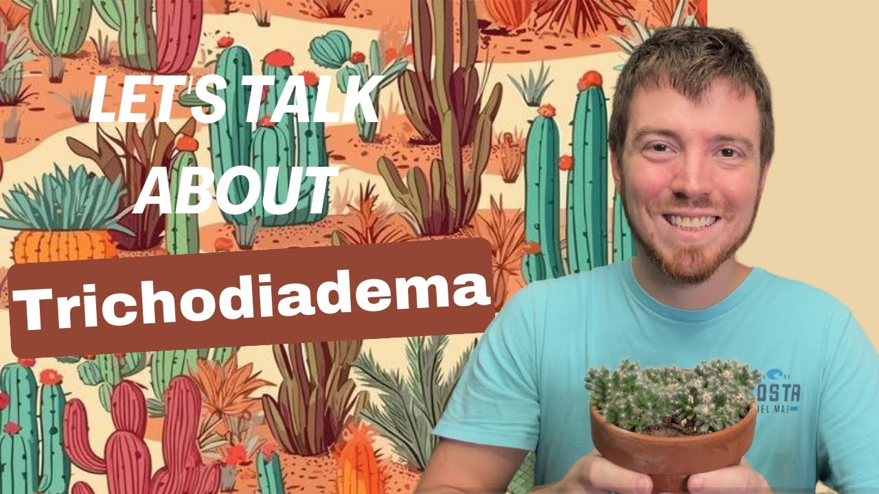 Let's Talk about Trichodiadema