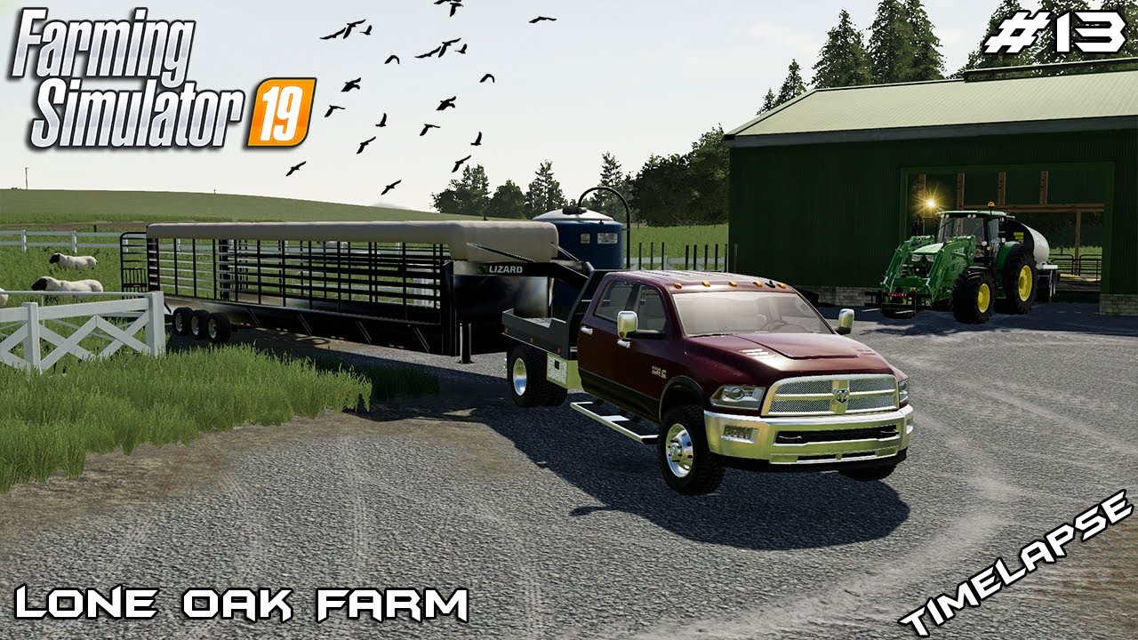 Animal care, getting sheep & new grain truck | Lone Oak Farm 19 | Farming Simulator 19 | Episode 13