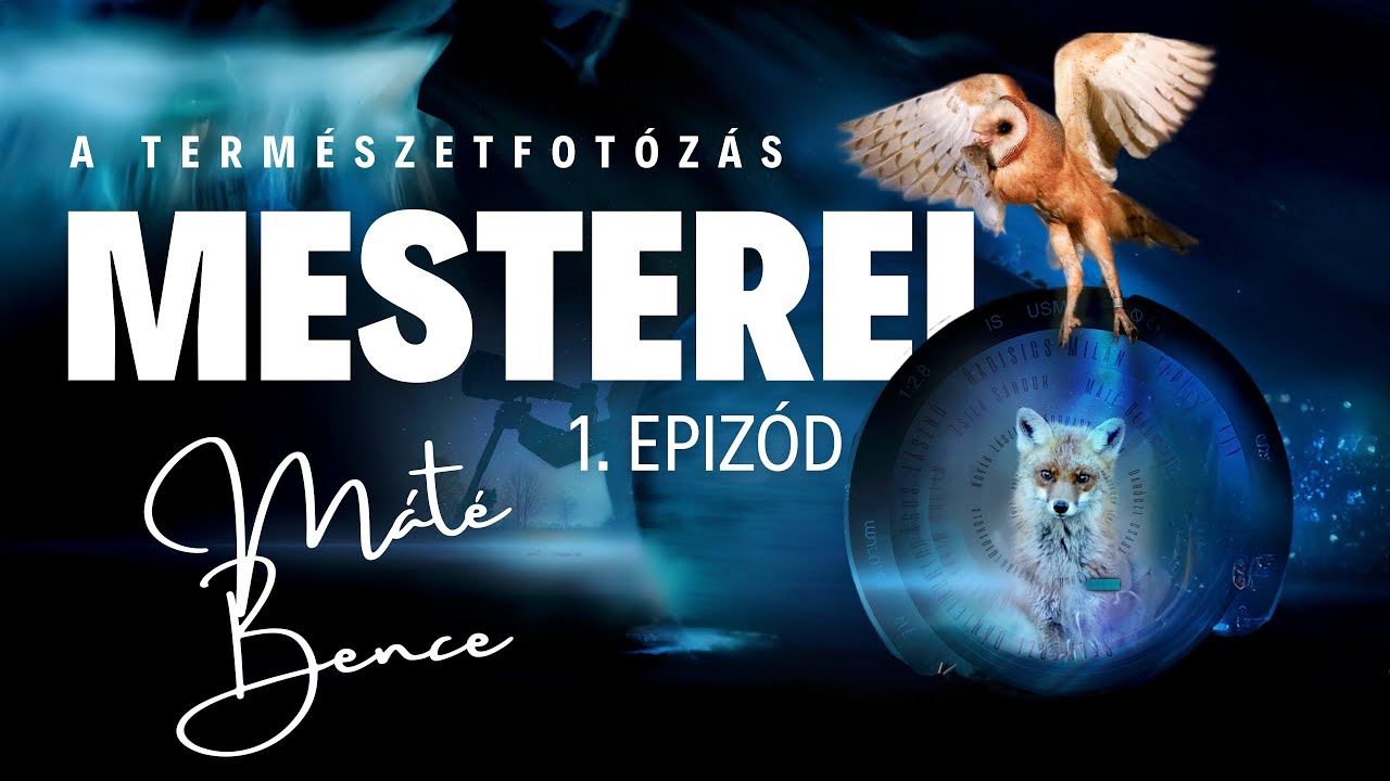 Откройте для себя мир фотографии природы! Узнайте секреты мастеров! Мэтью Бенс