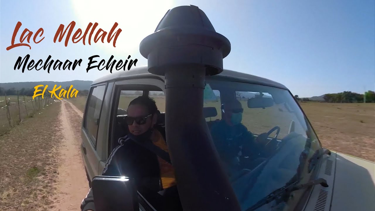 El Kala Lac Mellah et Machaar Echeir شاطئ مشرح الشعيرالقالة