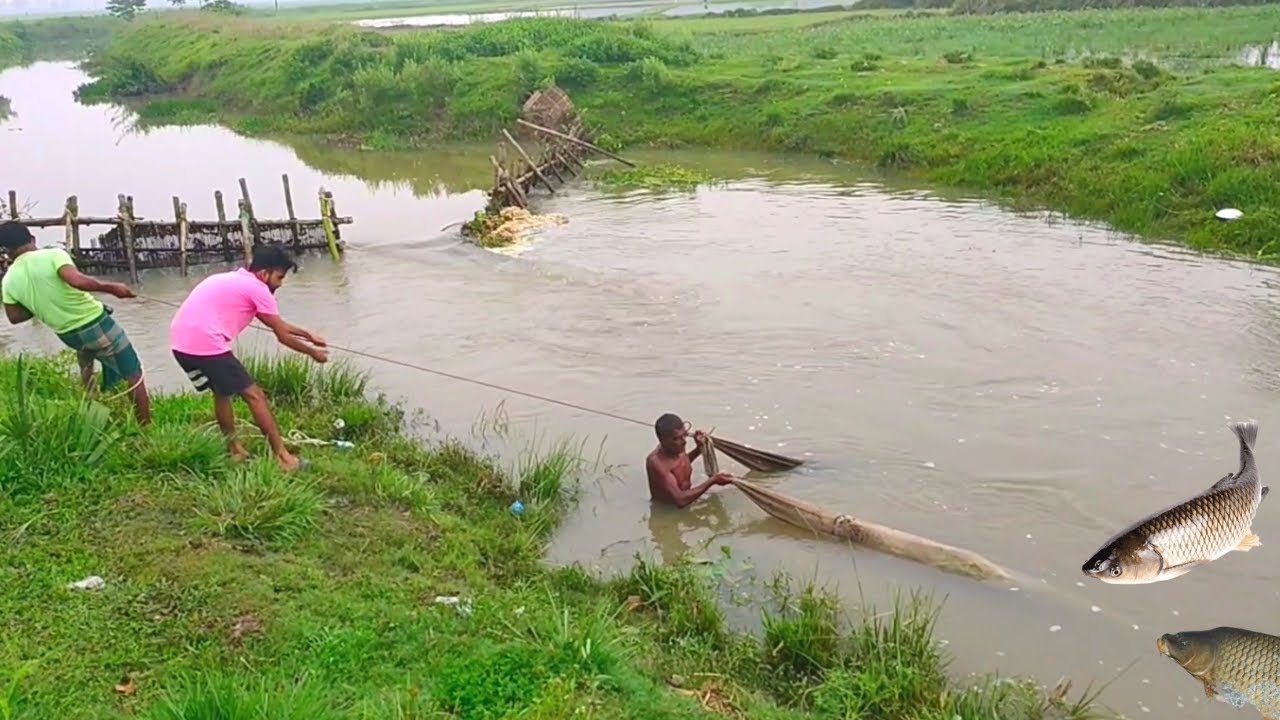 Unique Net Fishing in Village Small river | Traditional Village Fish Catching By Net