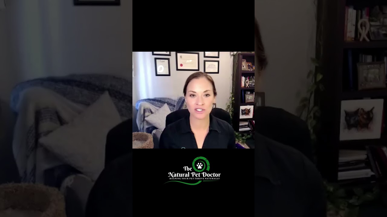 How To Improve Your Pet's Food With Holistic Veterinarian Dr. Katie Woodley