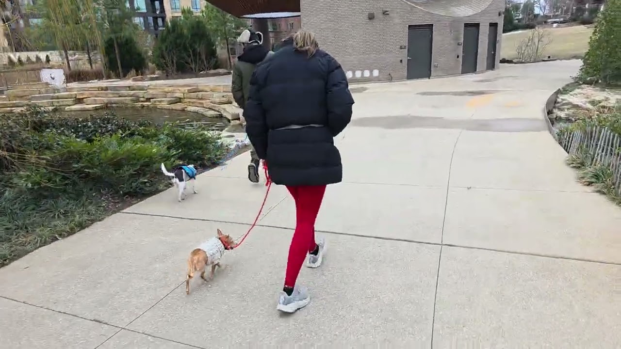 Mooshu and Dobby at Downtown cary park