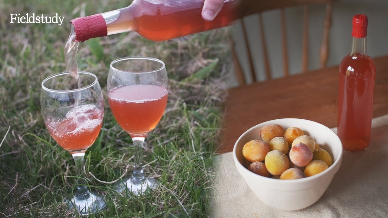 Easy Plum Wine Recipe | UK Wild Edibles