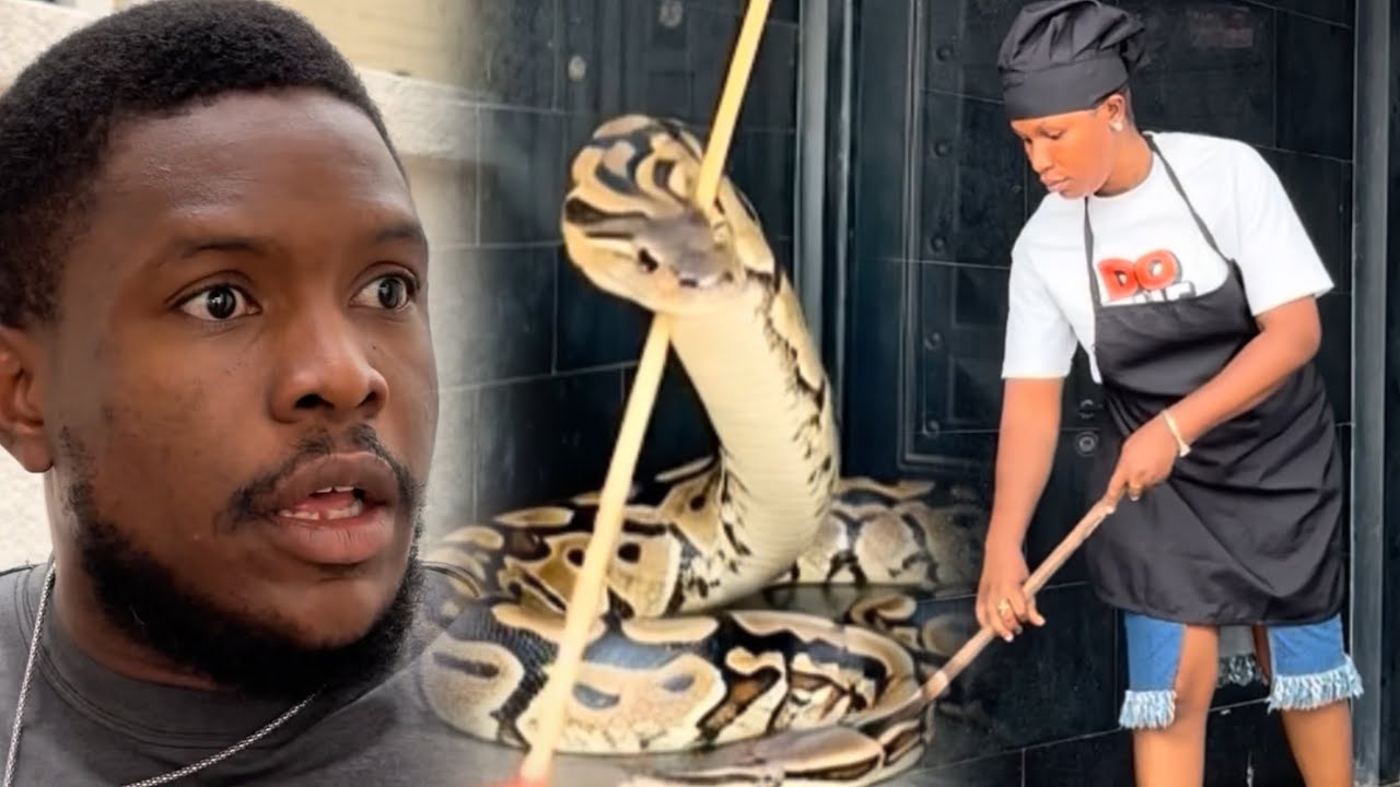 My maid, the snake.. Best Nollywood movies..2026