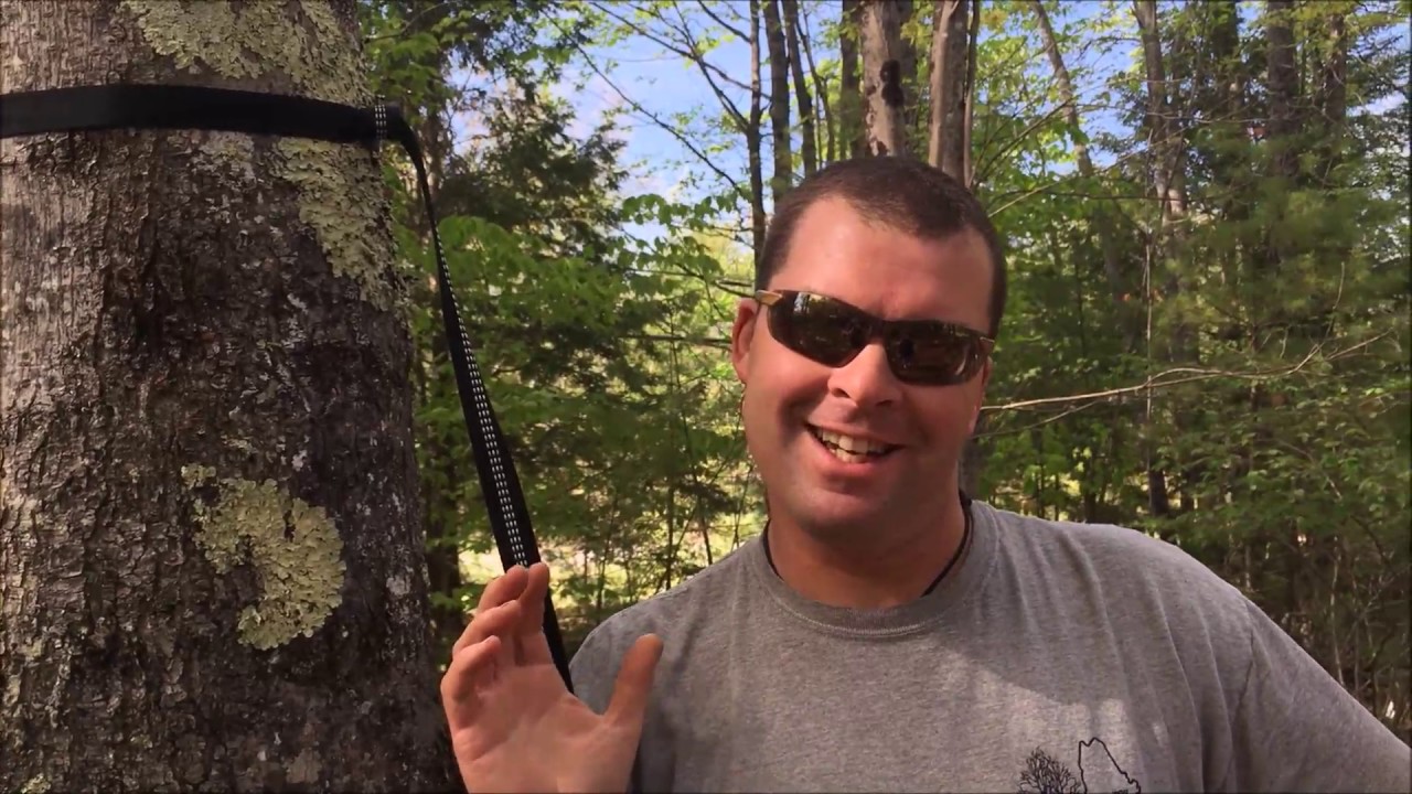 Daisy Chain Tree Strap Usage