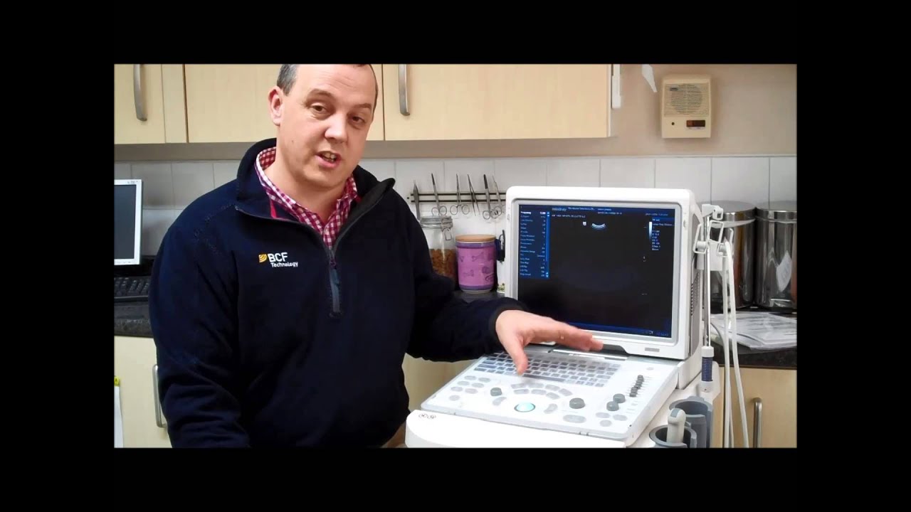 Mindray Z5 veterinary ultrasound scanner step by step instructional guide
