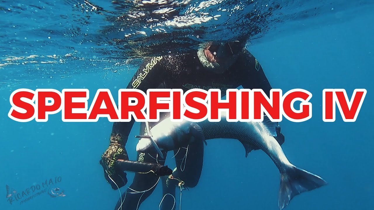 SPEARFISHING IV