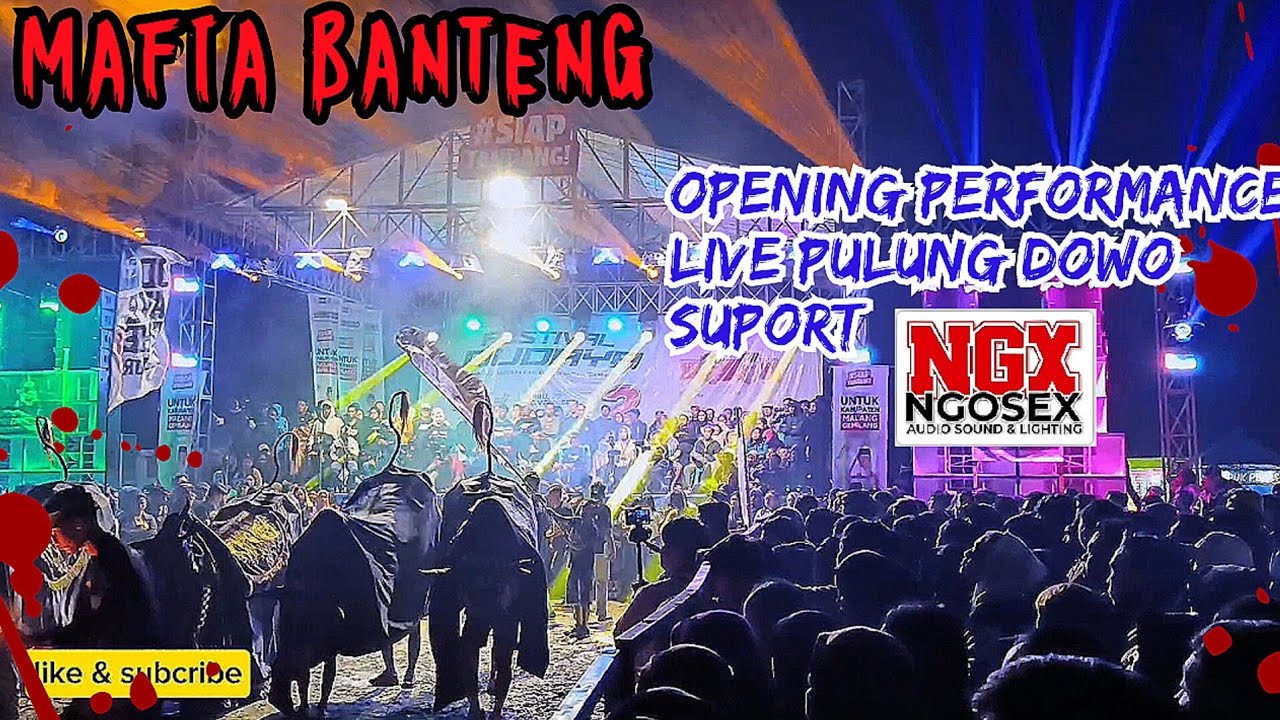 MAFIA BANTENG 🔥 Opening Performace terbaru live pulung dowo - tumpang‼️