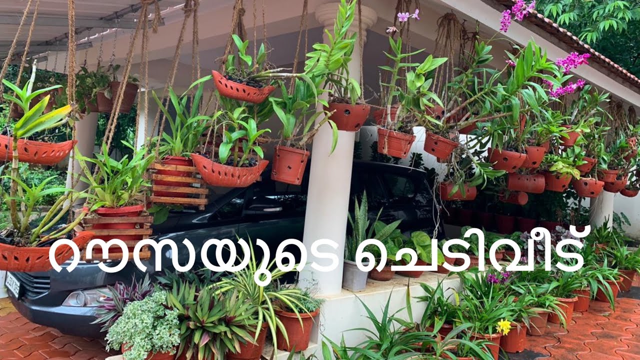 GARDEN TOUR | റൗസയുടെ മനോഹരമായ പൂന്തോട്ടം കാണാം Part 1