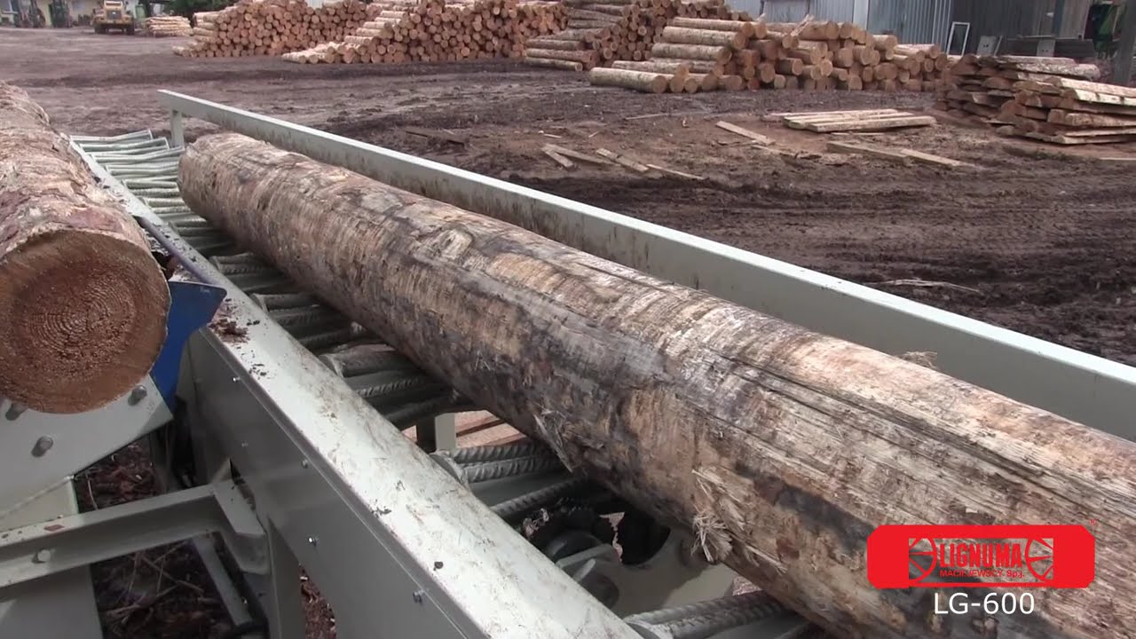 LIGNUMA Linia tarczowa do przerobu drewna okrągłego LG - 600 - 2023