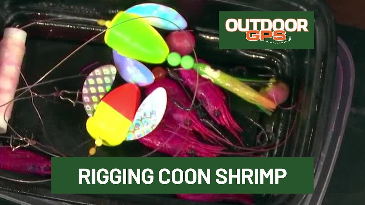 Outdoor GPS 3/8 Rigging Coon Shrimp for Springers with Ken Vilante