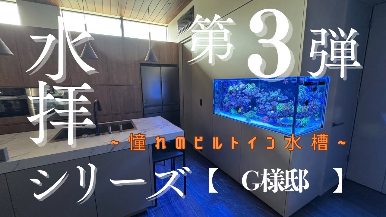 スイハイシリーズ　第３弾