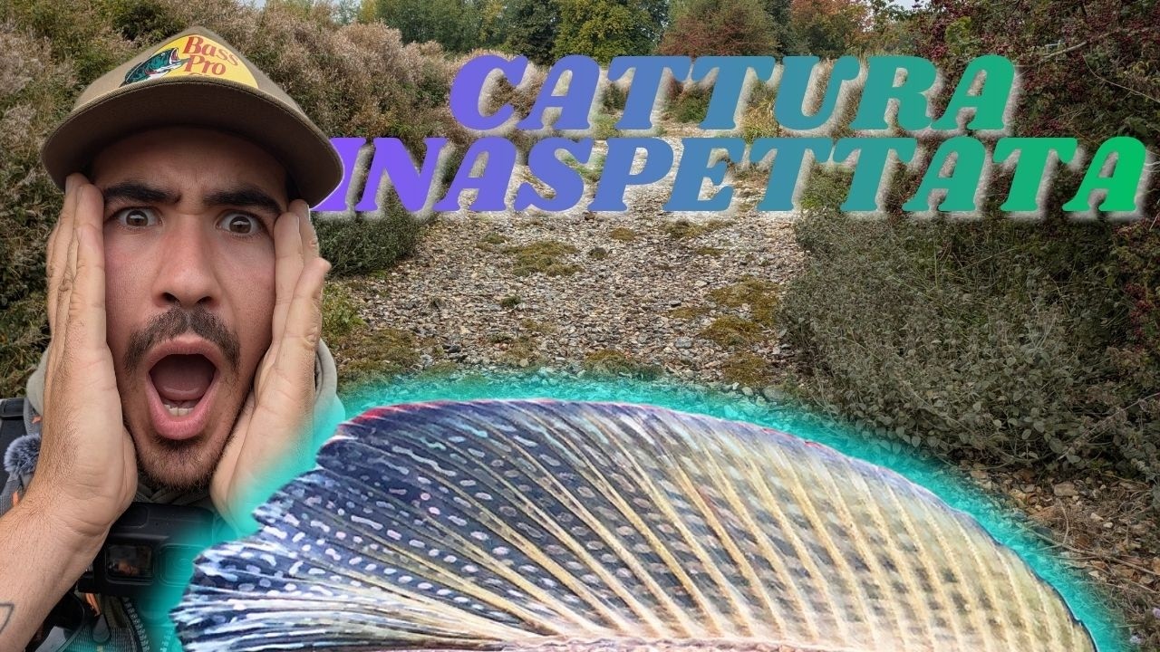 Il fiume era SECCO, ma ho catturato una nuova SPECIE !!