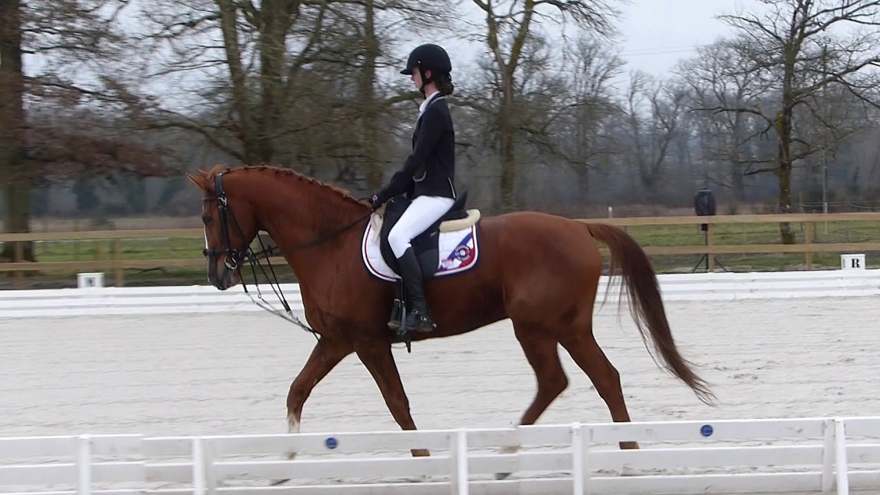 Concours dressage de Brinon Club 3 préliminaire