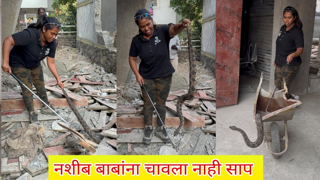 😱😱बापरे बाबा जिथे बसले होते त्याच फळीखाली भला मोठ्ठा घोणस 🐍 साप बसलेला होता पाहा 😳😳