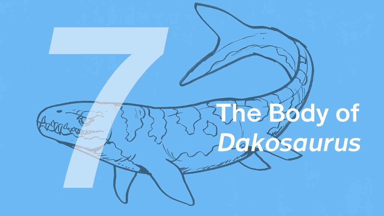 Paulwin the Dakosaurus 7: The Body | Learn to Draw Marine Animals with ZHAO Chuang