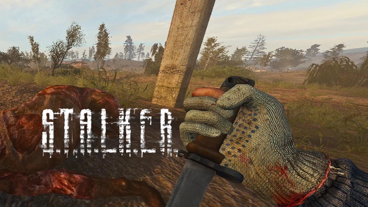 STALKER ANOMALY WEAPON OVERHAUL v2