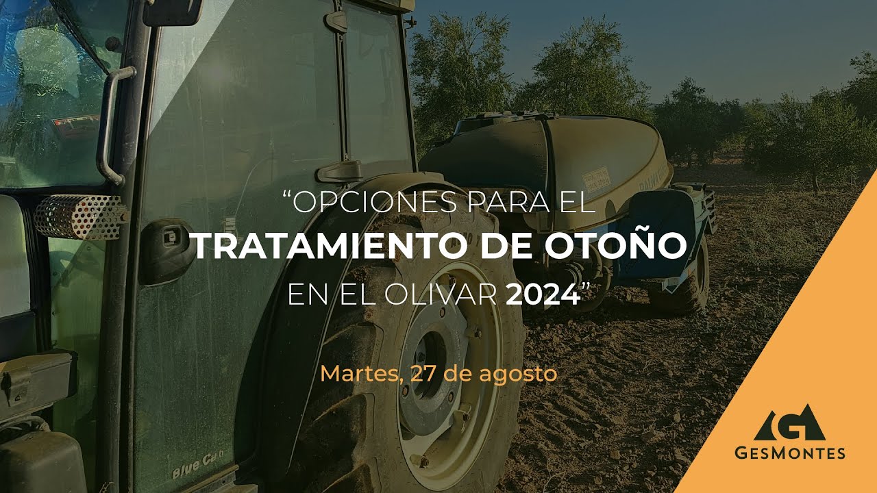 OPCIONES para el TRATAMIENTO de OTOÑO en el OLIVAR 2024