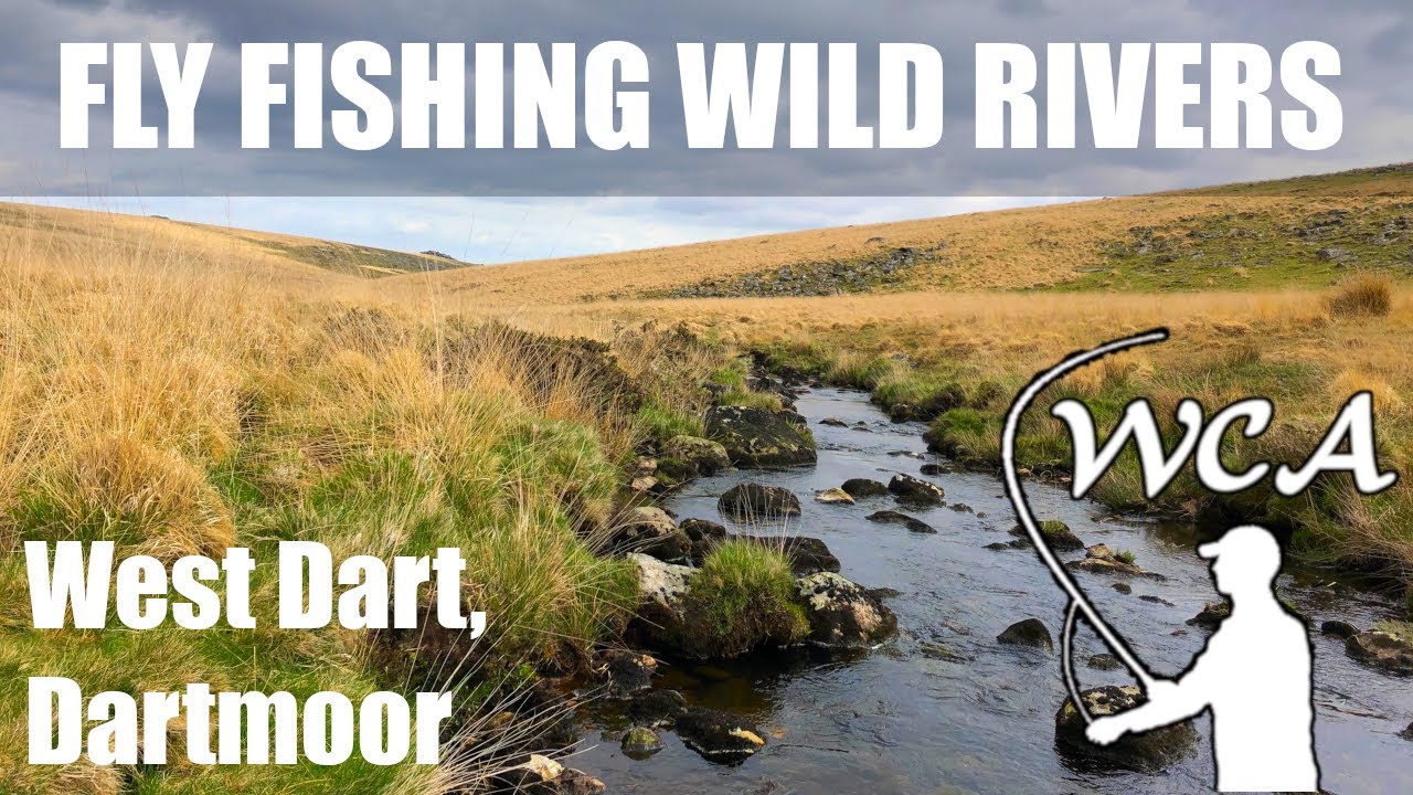 UK Fly Fishing on Dartmoor - West Dart, Wistman's Wood