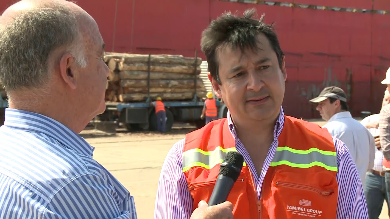 Puerto Concepción del Uruguay - Nuevo embarque de madera de Pino a China