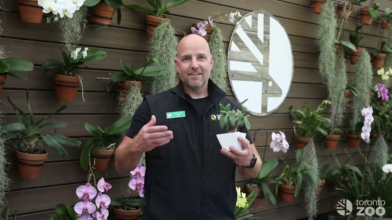 Your Toronto Zoo joins Illegal Plant Coalition 🌿