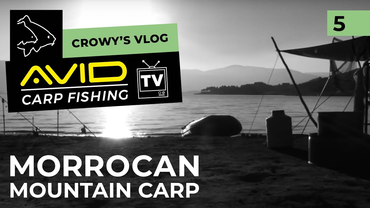 Avid Carp Fishing TV! | Crowy's Vlog! | 005 | Moroccan Mountain Carp!