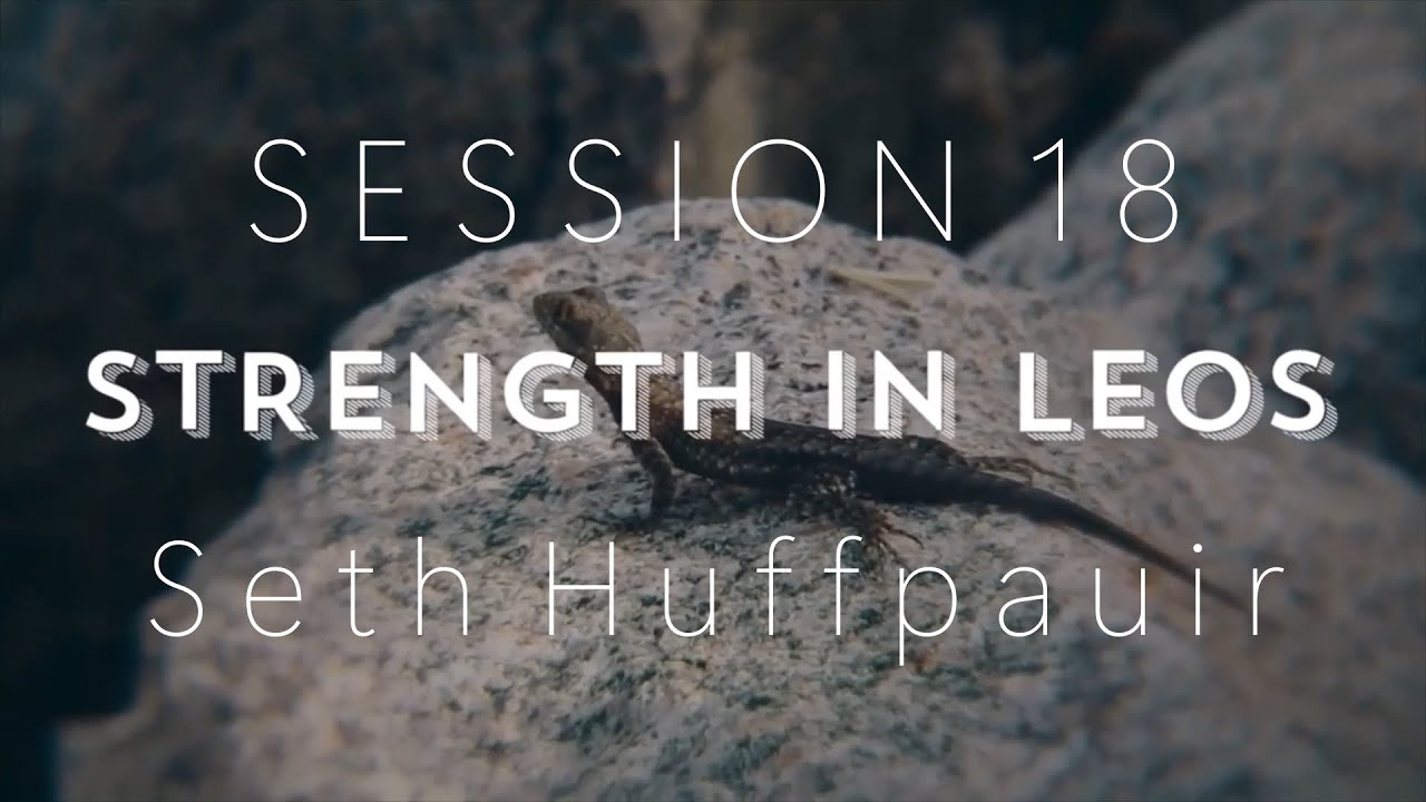 Session Nineteen: Everything African Fat Tails Geckos With Seth Hoffpauir