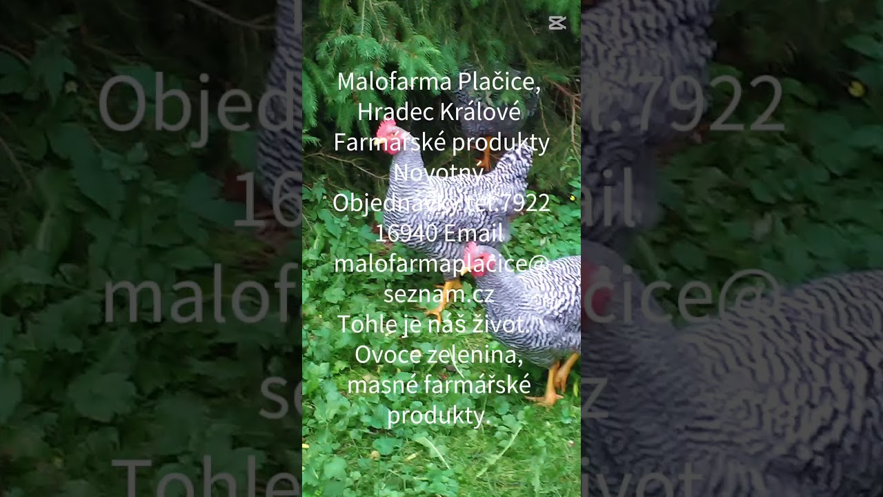Malofarma Plačice