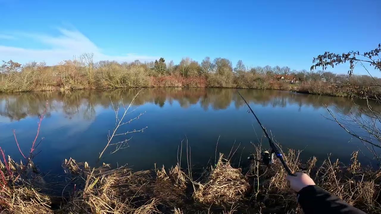 Angeln in der Niederlande , Polder, See  und Teiche / Mehr Drama  als Fisch 28.02.2026