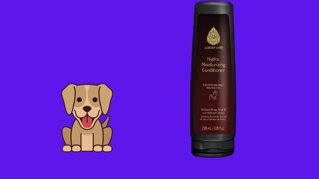 Before You Buy Hydra Luxury Care Gentle and Moisturizing Dog Conditioner with Oatmeal