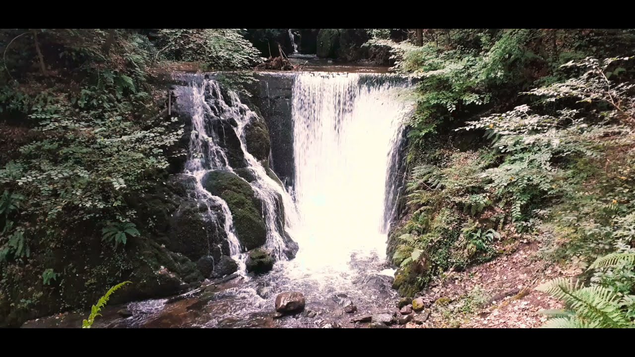 Alva Glen...The Ochil Hills 🏴󠁧󠁢󠁳󠁣󠁴󠁿