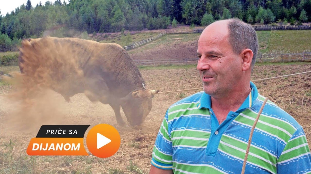 Na planini sa ženom i dva sina čuva stado od 100 HILJADA MARAKA!