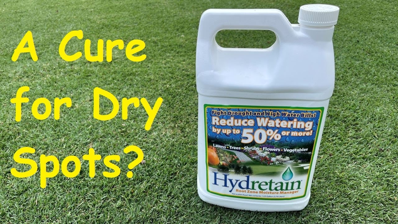 Hydretain - Did it work to cure dry spots in the lawn?