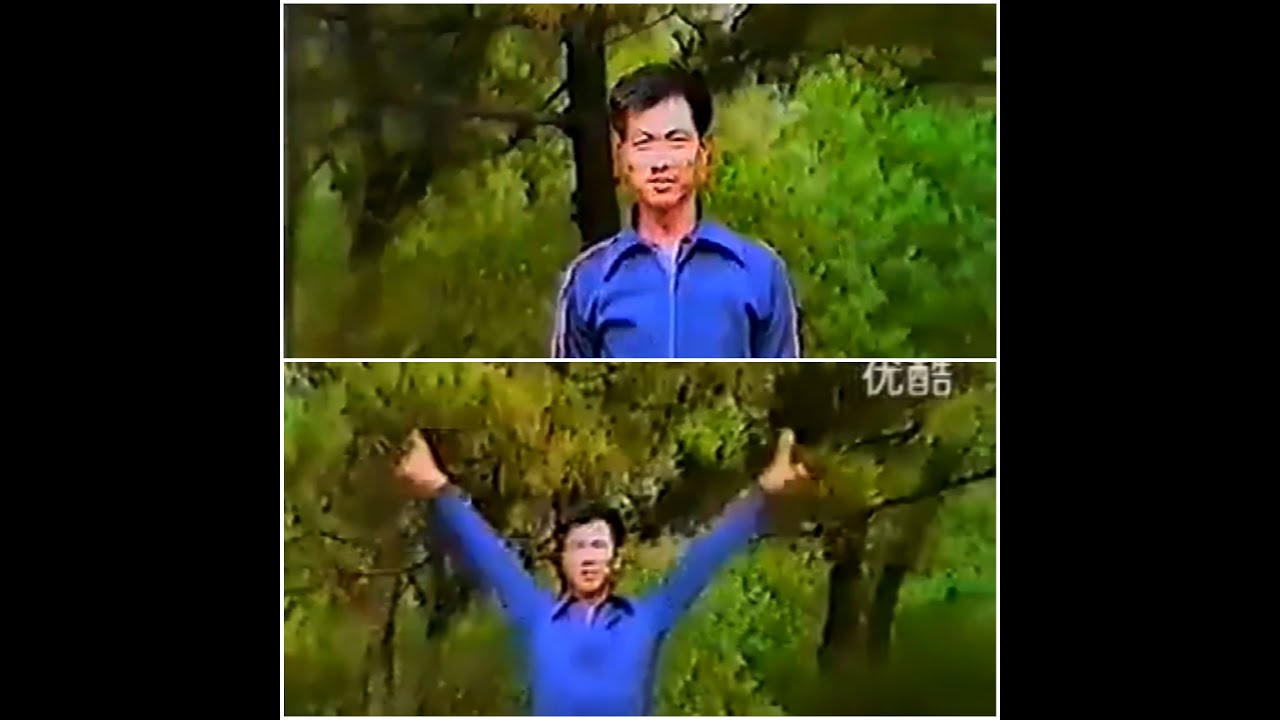 30 years old M Guan Tie Yun - Old Wuxing Tongbeiqan Footage  - Basic and avanced routines
