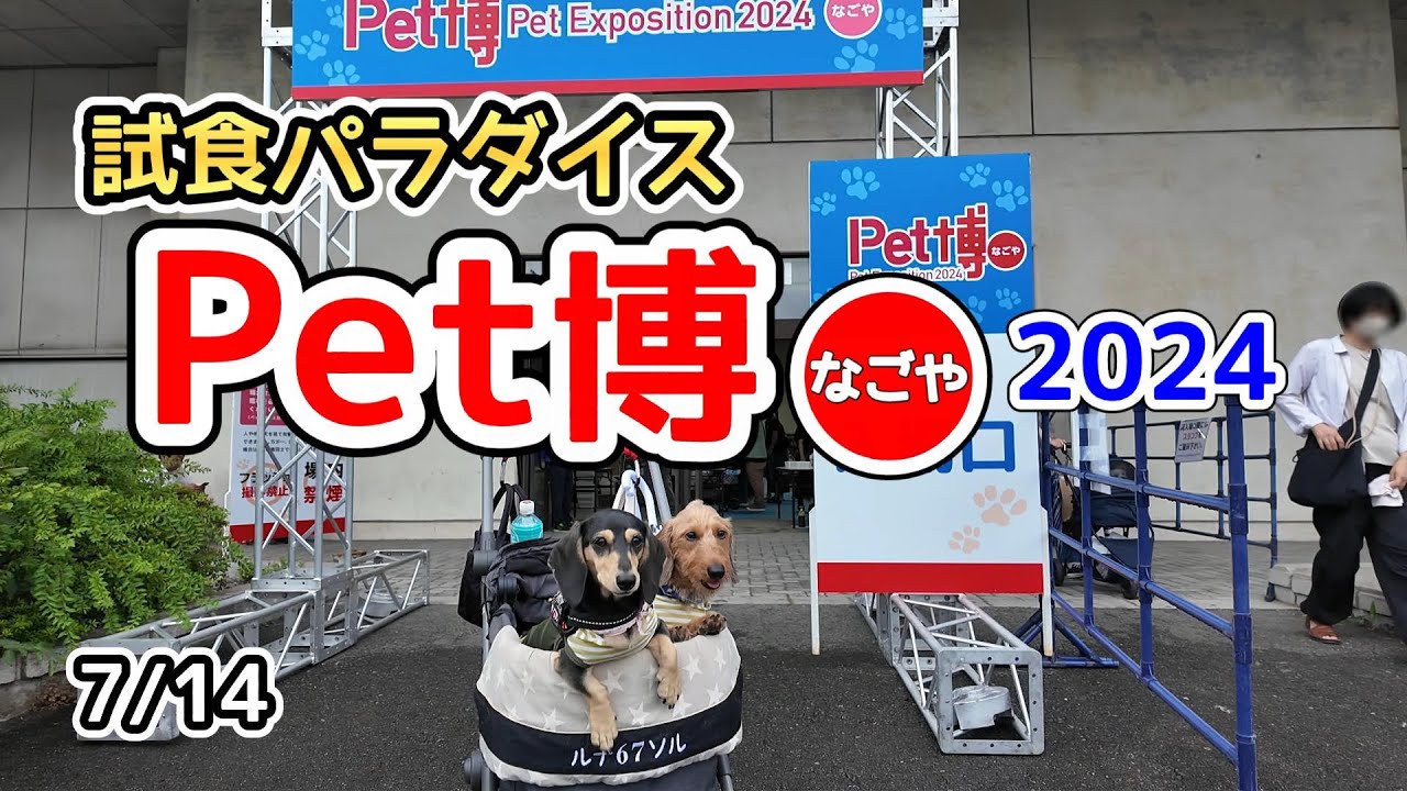 初体験の「Pet博なごや2024」を1日中楽しんだ【ミニチュアダックスフンド】試食パラダイス
